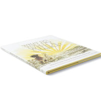 What Do You Do with a Chance book