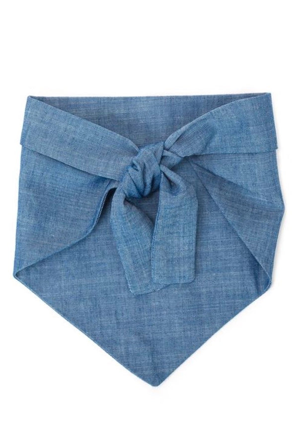 Dog Handkerchief Chambray: My Dad Is Single