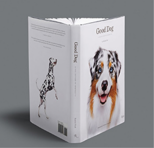 Good Dog by Randal Ford