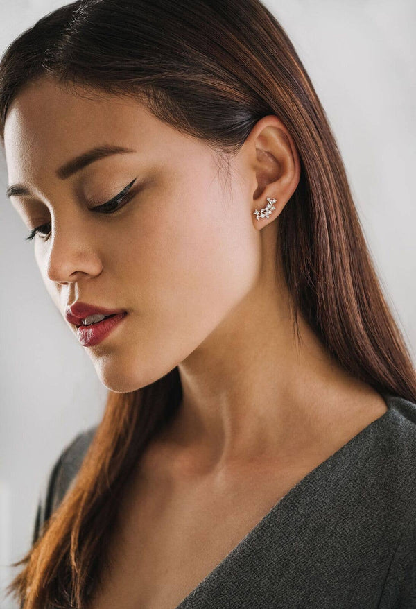 Stardust Climber Earrings