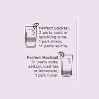 Bee's Knees Cocktail and Mocktail Mixer, 16 fl oz