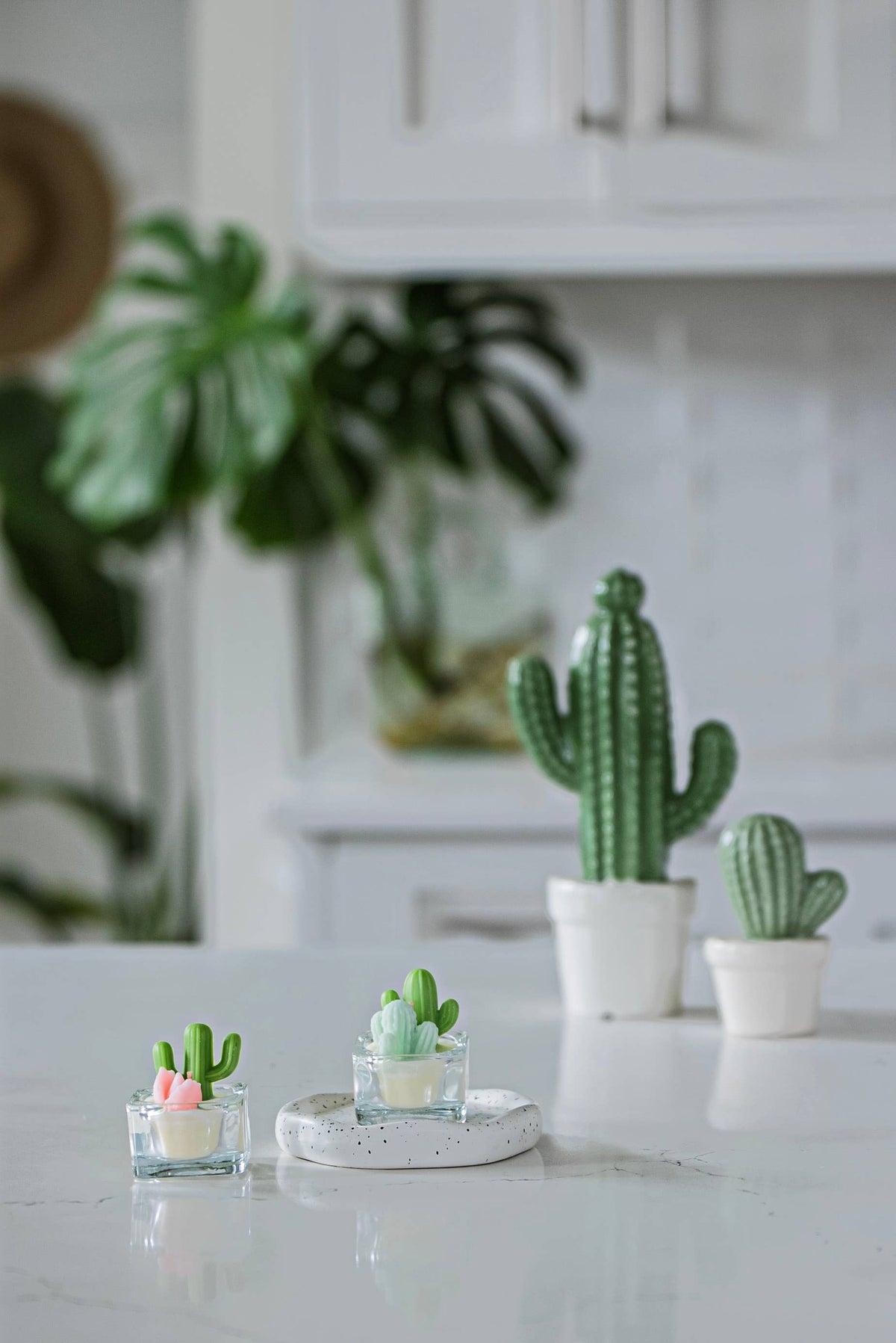 Cactus & Succulent Tealight Candles | Soy Wax Blend