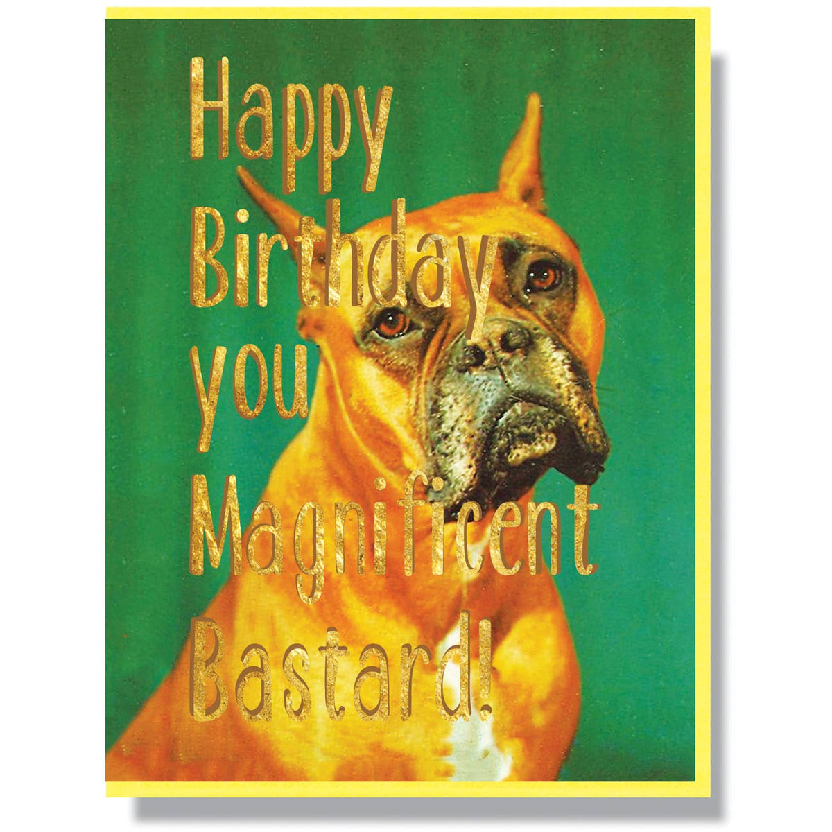 Happy Birthday You Magnificent Bastard Card