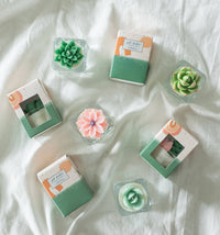 Cactus & Succulent Tealight Candles | Soy Wax Blend