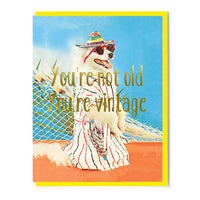 You're Not Old You're Vintage Birthday Card