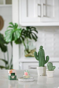 Cactus & Succulent Tealight Candles | Soy Wax Blend