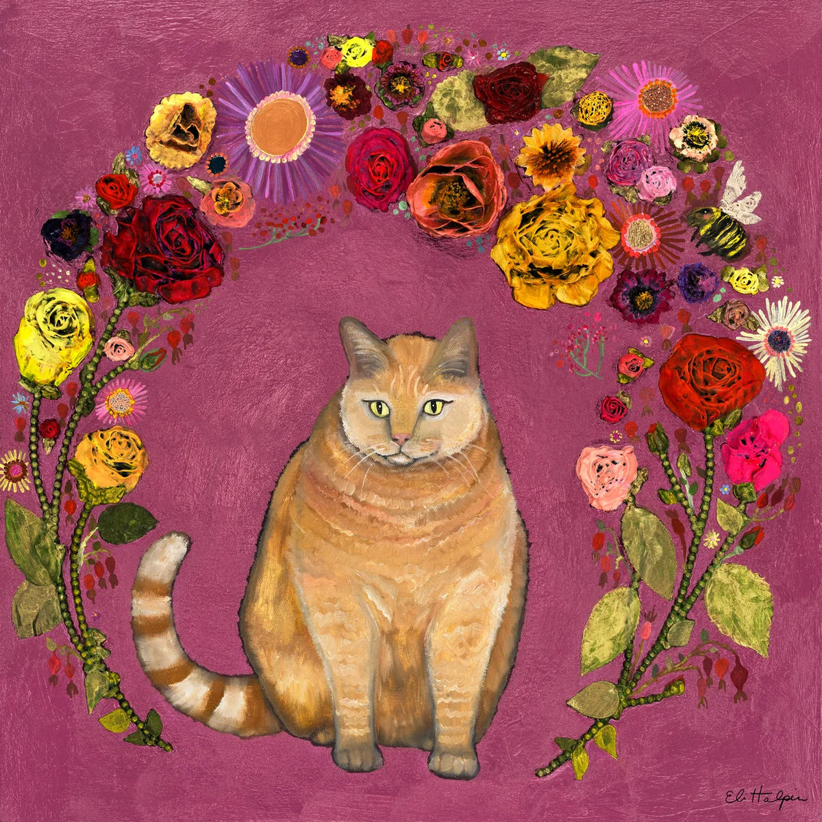 Eli Halpin Big Kitty 36x36 Canvas Print