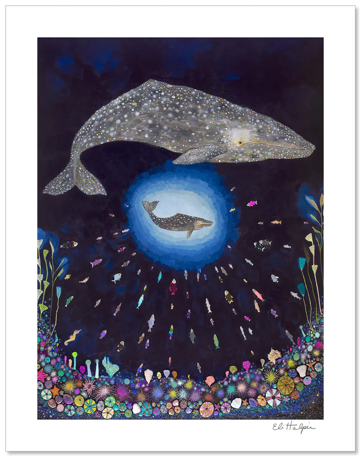 Eli Halpin Gray Whale Calf Signed Print