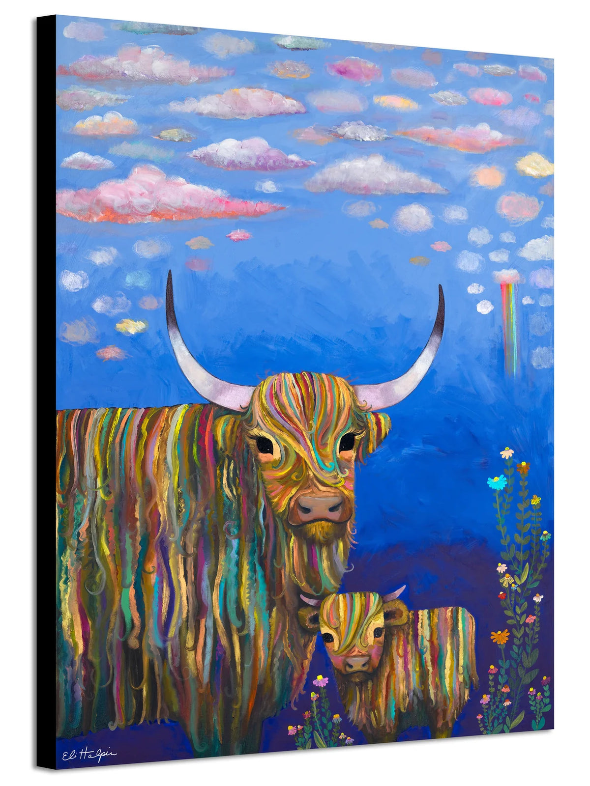 Highland Cow Calf 24x32 Canvas Print by Eli Halpin