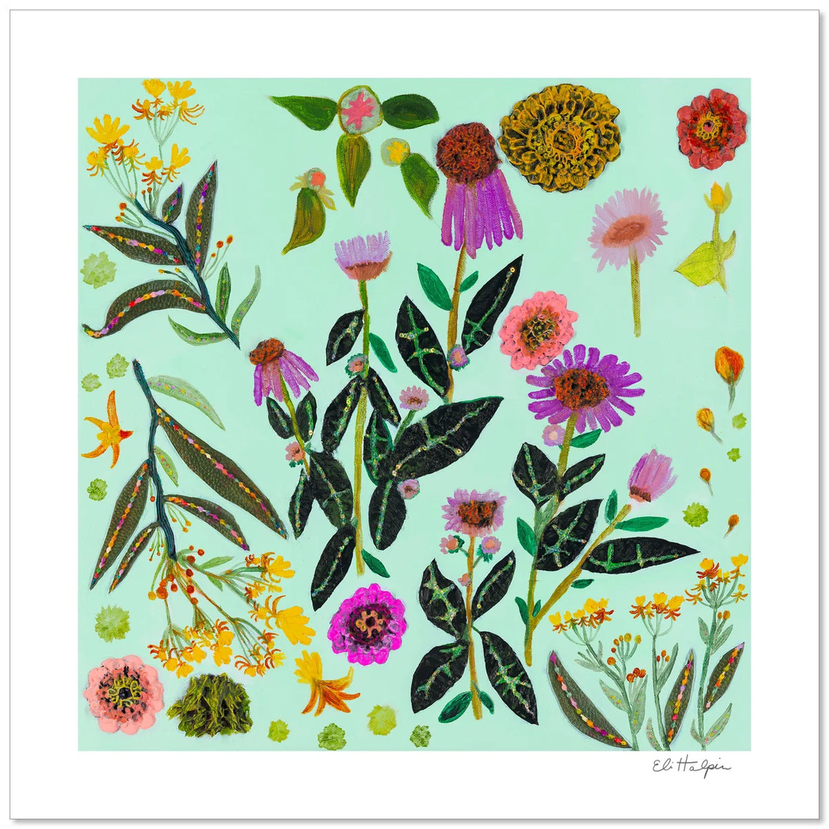 Eli Halpin Milkweed Signed Print