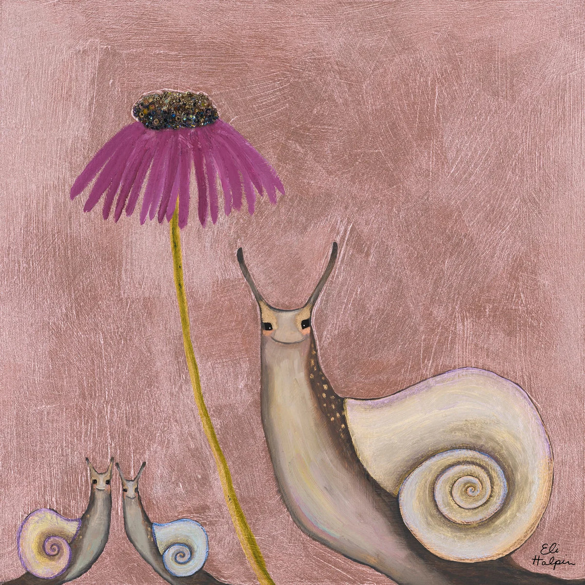 Snail Shells 12x12 Canvas Print by Eli Halpin