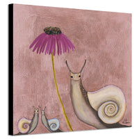 Snail Shells 12x12 Canvas Print by Eli Halpin