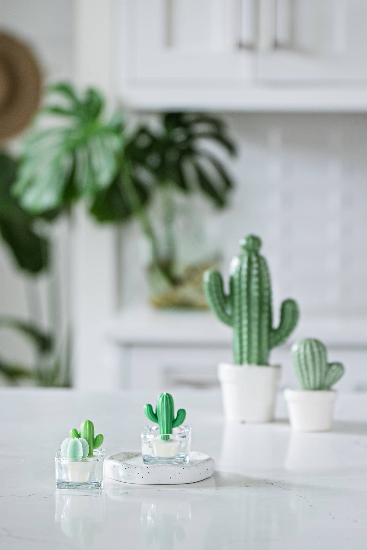 Cactus & Succulent Tealight Candles | Soy Wax Blend