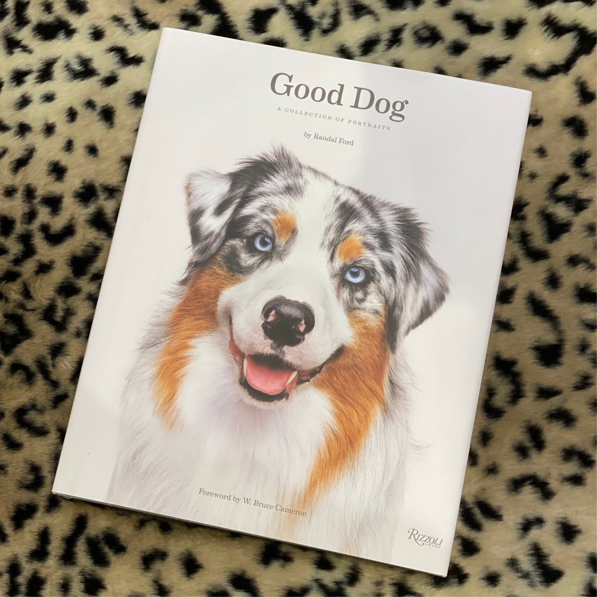 Good Dog by Randal Ford